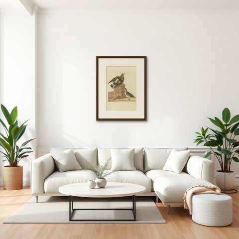 Antique Bird Print of the Spotted Sandpiper by Sepp & Nozeman, 1797, shown framed in a room