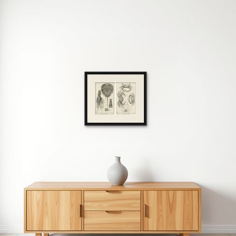 Pair of Antique Engravings of Crabs - Diderot & d’Alembert’s Encyclopédie, 1770, shown framed on a wall