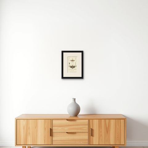 Antique Print of Various Insects Including a Grasshopper, shown framed on a wall
