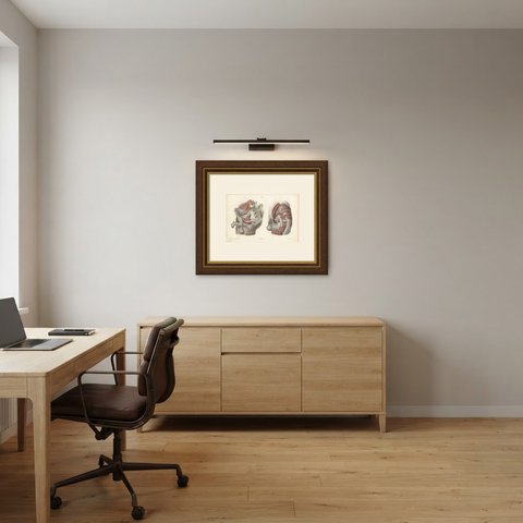 Nerves of the Male Pelvis, Antique Hirschfeld Anatomy Print, 1866, shown framed in a room