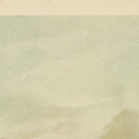 Antique Bird Print of the Eurasian Bittern by Naumann, circa 1895, close-up 1