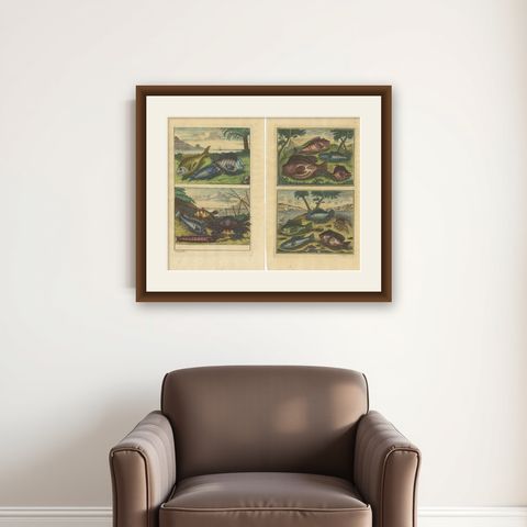 Set of 2 Colored Antique Prints of Various Fishes and Crustaceans, shown framed on a wall