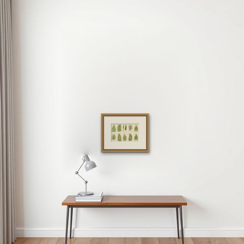 Collection of 10 Original Antique Tropical Fern Lithographs by E.J. Lowe, 1856, shown framed on a wall
