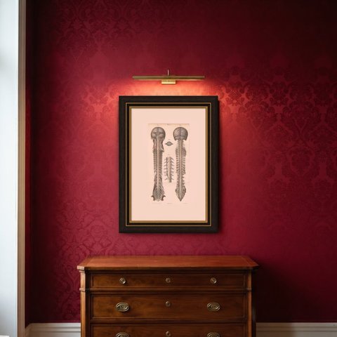 Arteries of the Brain and Spinal Cord, Hirschfeld Double Folding Plate, 1866, shown framed in a room