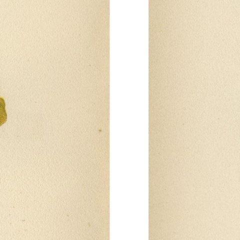 Native US Flora - Two Original Botanical Chromolithograps, 1879, close-up 2