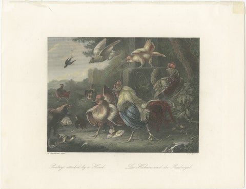 Defending the Flock: The Poultry's Stand Against the Hawk, Hand-colored ca.1860, view 2