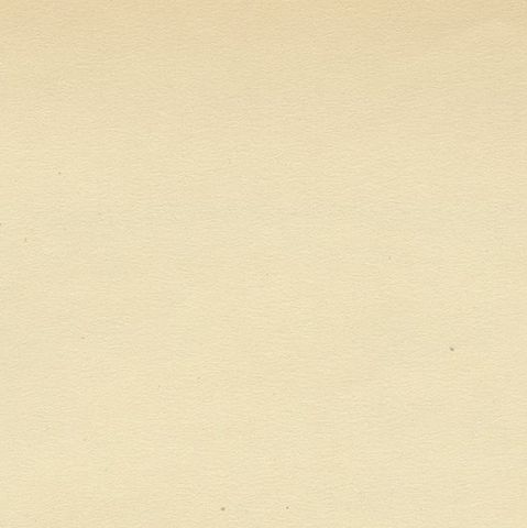 Antique Bird Print of the Snow Bunting from a Swedish Bird Book, 1927, close-up 1