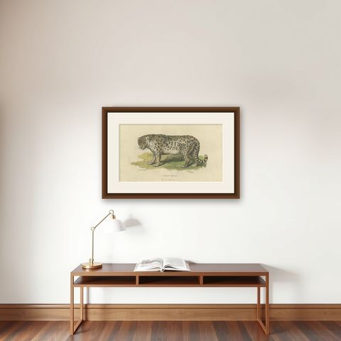 A Hand-Colored Illustration of the Snow Leopard or Once, 1824, shown framed on a wall