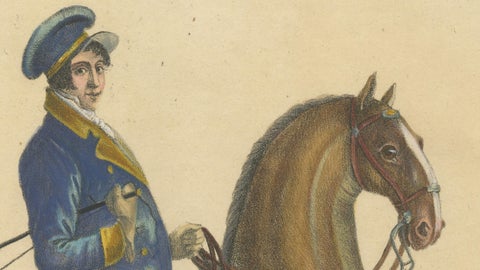 Regency English Horse Lithograph by Brodtmann, Equus Angliae, 1816, close-up 1