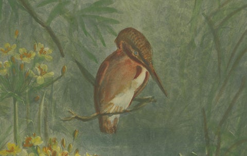 Kingfisher by the Water's Edge - Giacomelli’s Tranquil Nature Scene, Circa 1891, close-up 2