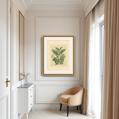 1852 Botanical Lithograph of Atropa Belladonna (Deadly Nightshade), shown framed in a room