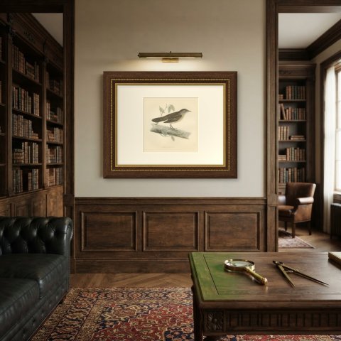 Savi's Warbler on a Fallen Log, Hand Colored Morris Bird Print, 1896, shown framed on a wall