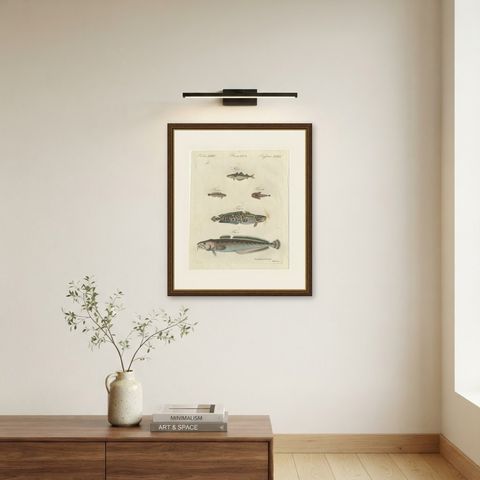 Ling, Burbot, Pollack and Toadfish, Antique Bertuch Print, circa 1805, shown framed on a wall