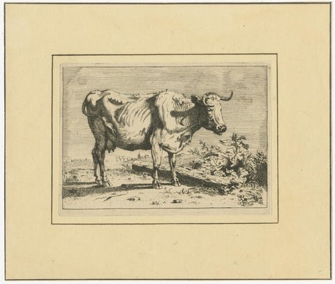 Set of 8 Dutch Golden Age Cattle Etchings, After Paulus Potter, c.1650, view 6