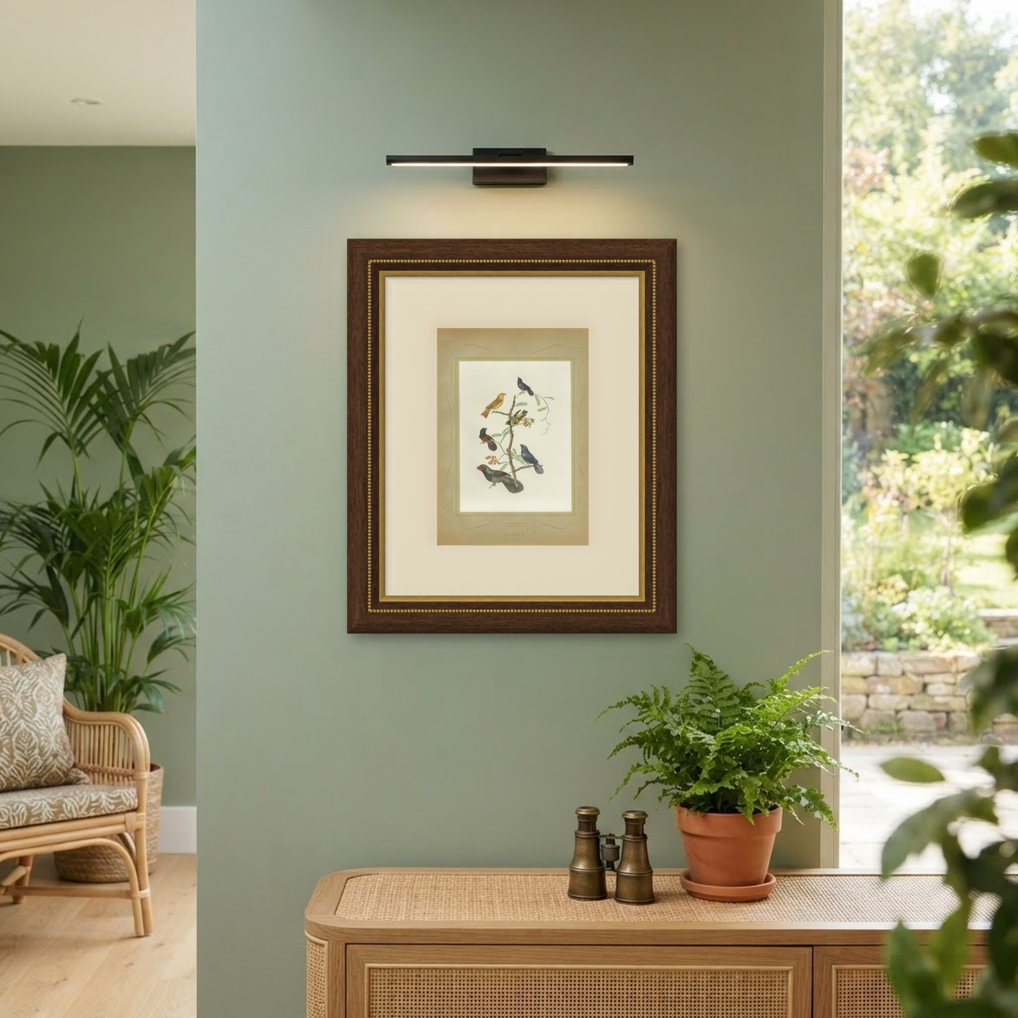 Finches and Seedeaters, Brazilian Bird Print, Descourtilz, 1944, shown framed on a wall