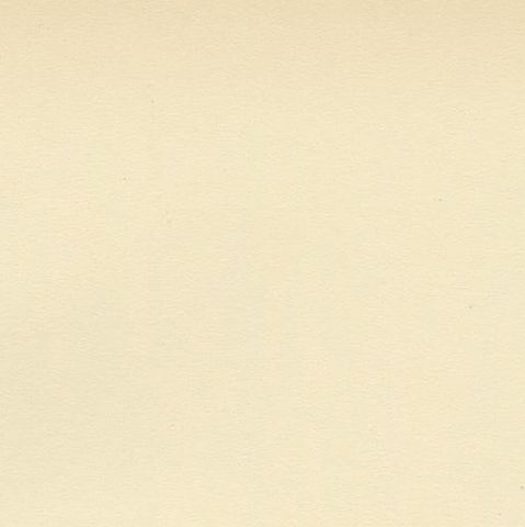 Decorative Original Antique Bird Print of The Willow Tit, 1927, close-up 2