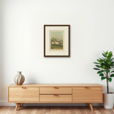 Antique Bird Print of the Little Bustard by Naumann, circa 1895, shown framed on a wall