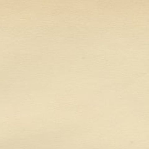 Antique Bird Print of the Common Rosefinch by Von Wright, 1927, close-up 1