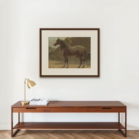 Antique Print of the Pinzgauer Horse by O. Eerelman, 1898, shown framed on a wall