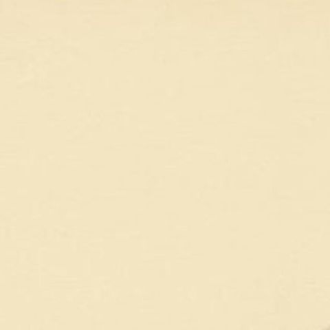 Antique Bird Print of the Ivory Gull, 1929, close-up 1