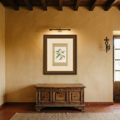Tanagers and Woodcreepers, Brazilian Bird Print, Descourtilz, 1944, shown framed in a room