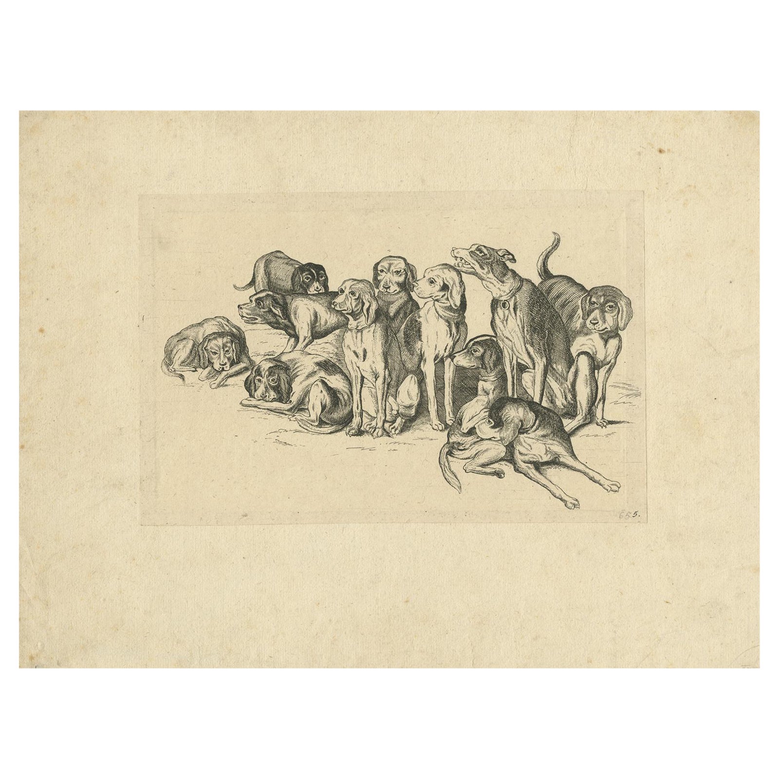 Eleven Hounds, Reversed 17th-Century Etching After Wenceslaus Hollar, c.1646