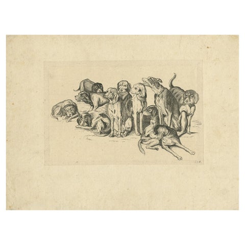 Eleven Hounds, Reversed 17th-Century Etching After Wenceslaus Hollar, c.1646