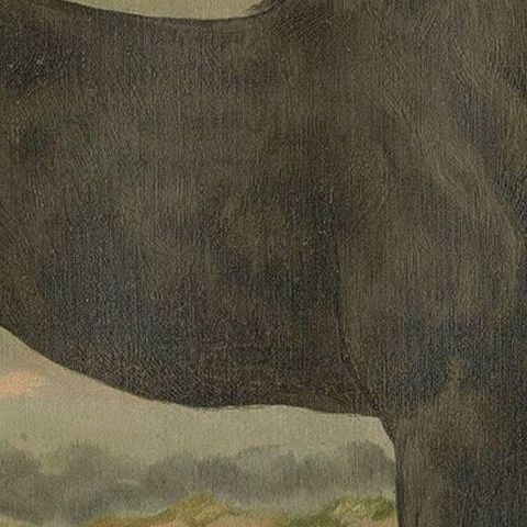 Antique Print of the Irish Horse by O. Eerelman (1898), close-up 2
