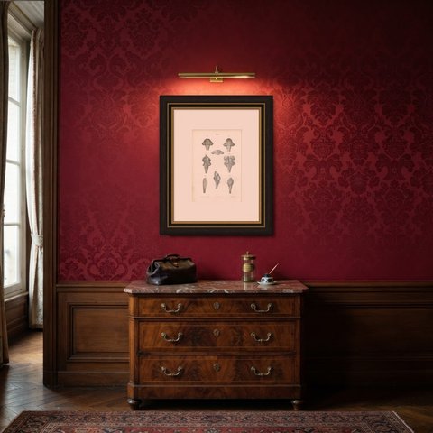The Brain Stem and Fourth Ventricle, Antique Hirschfeld Anatomy Print, 1866, shown framed in a room