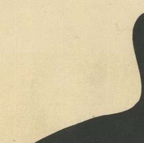 Antique Bird Print of the Eurasian or Australian Coot by Albin, c.1738, close-up 1