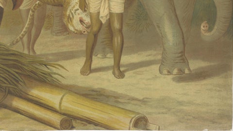 Large Antique Chromolithograph, India Tiger Hunt Scene, Leutemann, ca. 1890, close-up 5