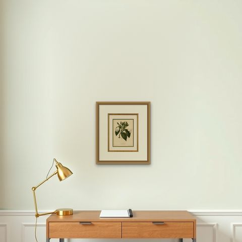 Antique Botanical Lithograph, Vanilla Guianensis, Suriname Orchid, 1856, shown framed on a wall