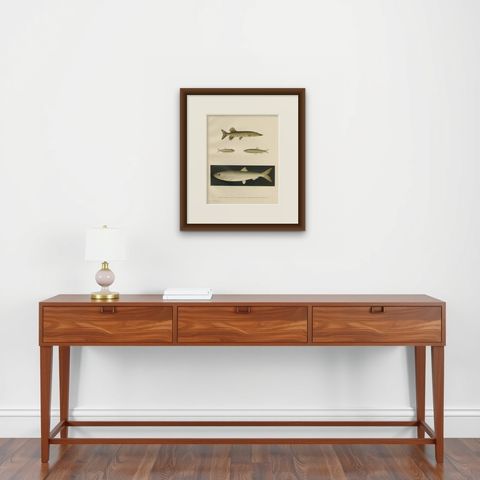 Scandinavian Fish Lithograph: Herring, Sprat, Müller’s Pearlside and Pike, 1895, shown framed on a wall