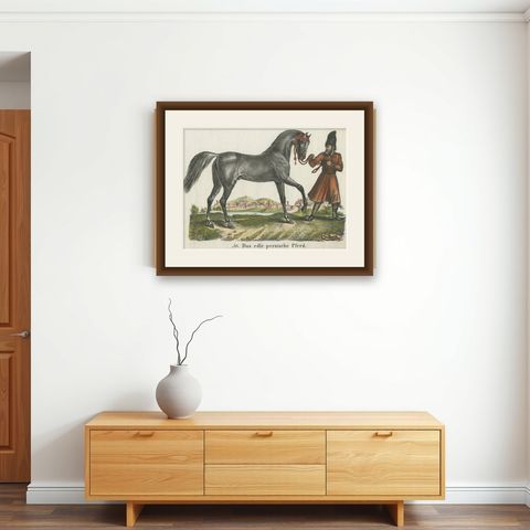 Antique Print of Persian Horse, shown framed on a wall