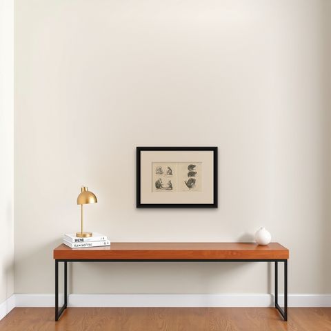 Sloth, Galago, and Lemur Species, Lithographs by C. Last, 1836, Natural History, shown framed on a wall