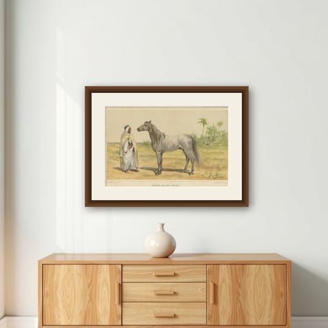 Original Antique Chromolithograph of a Barb or Berber Horse, circa 1890, shown framed on a wall