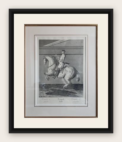 Antique Horse Print 'Croupade' by J. E. Ridinger, circa 1750, shown framed
