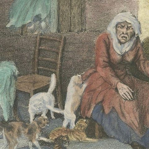 The Old Woman and Her Cats, 1809 Hand-Colored Etching by Edward Orme, close-up 5
