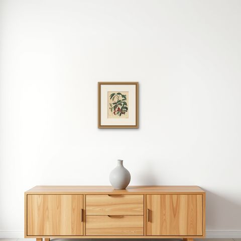 Antique Botany Print of an Erythrina Plant by C. Hoffmann, 1847, shown framed on a wall