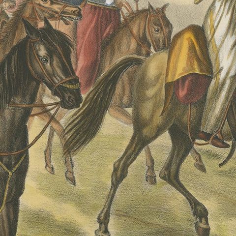 Antique Hand Colored Print of Russian and Polish Horses, close-up 2