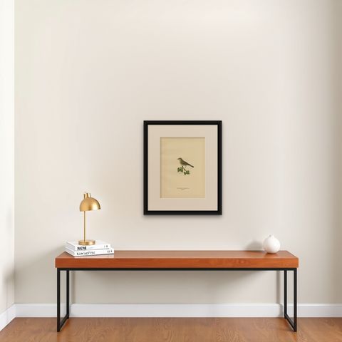 Antique Bird Print of the Willow Warbler by Von Wright, 1927, shown framed on a wall