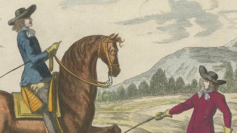 Baroque Dressage Horse in Collection, Georg Simon Winter, 1678, close-up 1