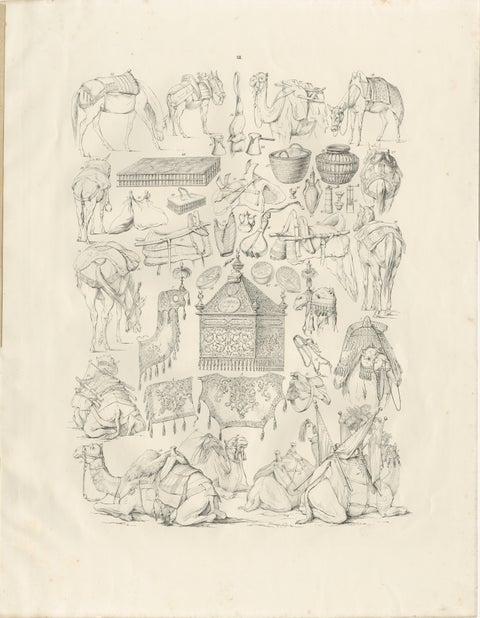 Antique Camel & Caravan Equipment Studies from Maximilian in Bavaria, 1846, view 2
