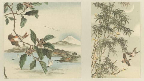Antique Japanese Bird and Landscape Print: Six Panels of Nature’s Harmony, 1882, close-up 3
