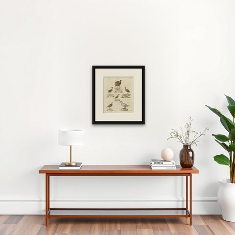 Jacanas and Wading Birds with Long Toes, Antique Bertuch Print, circa 1805, shown framed on a wall