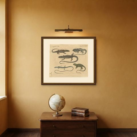 Five Exotic Lizards, Antique Bertuch Print, Vienna, circa 1820, shown framed on a wall
