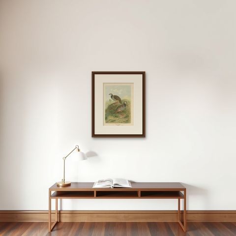 Red-Legged Partridge Pair, Antique Bird Chromolithograph, Caccabis Rufa c.1880, shown framed on a wall
