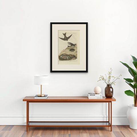 Antique Bird Print of the Sand Martin by Sepp & Nozeman, 1770, shown framed on a wall