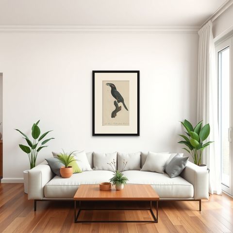 Stunning Hand-Colored Antique Prints of a Toucan, 1806, Rare!, shown framed in a room