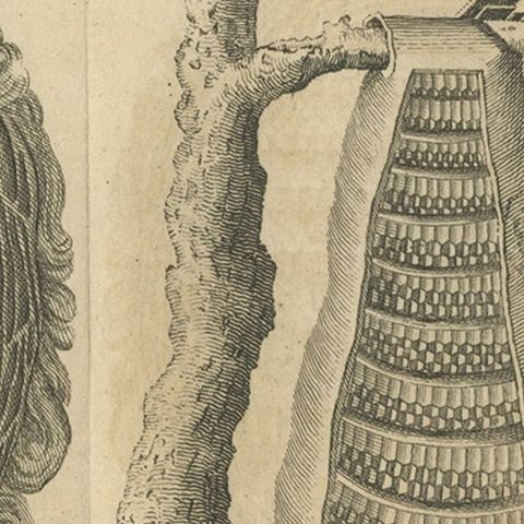 Original Antique Copper Engraving of Various Wasp Nests, Published circa 1780, close-up 3